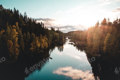Preview: Beautiful landscape of a river flowing in a dense fir forest on the sunrise