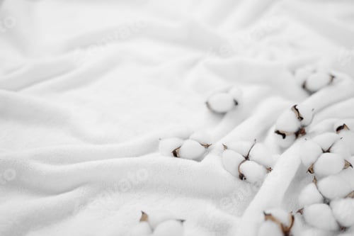 Preview: Cotton flowers on a white terry towel with copy space.