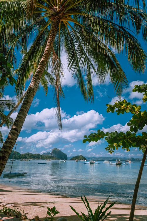 Preview: Vacation on beautiful tropical island, relax chill getaway enjoy summer in El Nido, Palawan island