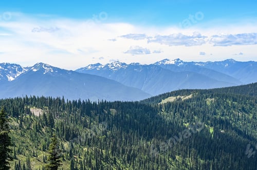 Preview: Scenic view of Hurricane Ridge in Olympic National Park, Washington, USA