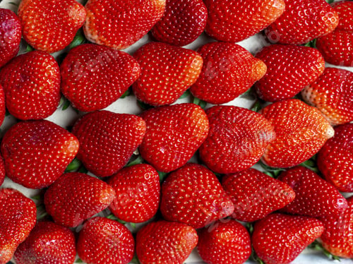 Preview: Juicy strawberries on the white box