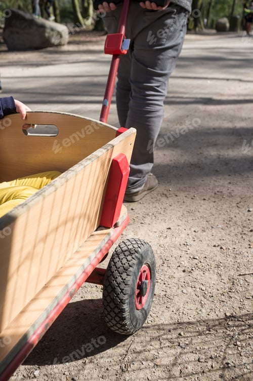Preview: The father of the family is carrying a baby wagon for children with a boy inside.