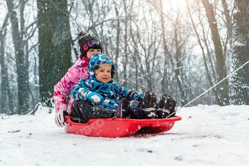 Preview: Two cute adorable funny sibling kid friend wear warm jacket enjoy have fun sledging at city park