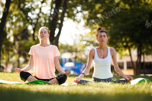 Preview: Women doing yoga outdoors at sunrise. Morning meditation