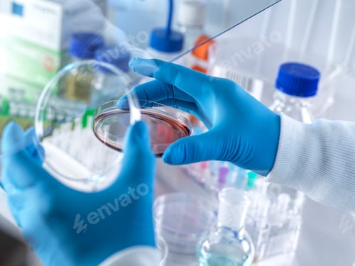 Preview: UK, Buckinghamshire, High Wycombe, Scientist holding petri dish