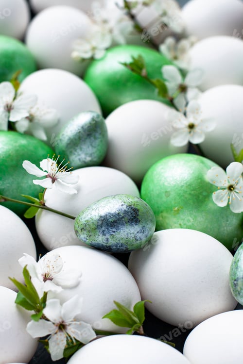 Preview: Easter holiday eggs and white cherry blossoms