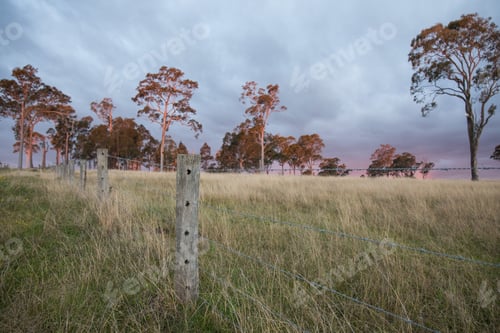 Preview: Australian bush at sunset