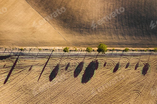 Preview: Abstract drone view of famous Tuscan hills in San Quirico d'Orcia, Italy