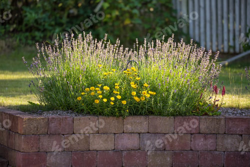 Bright Yellow and Purple Flowers in Garden Bed