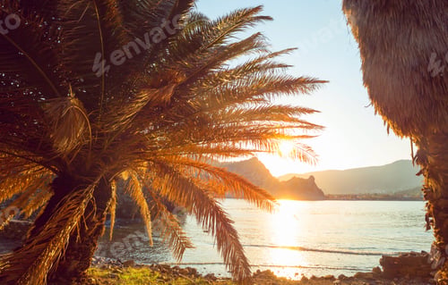 Preview: Sea sunset