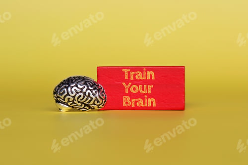 Preview: Brain model and red wooden cube