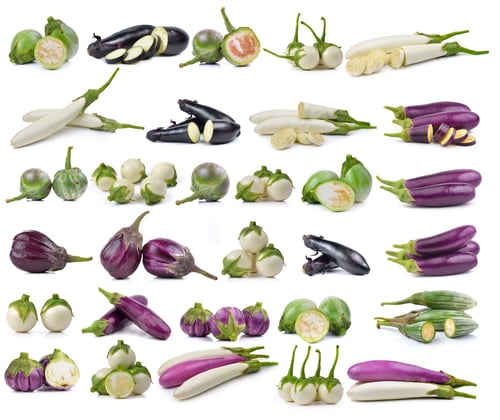 Preview: eggplant on white background