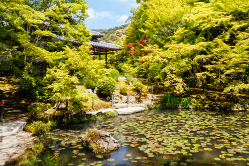 Preview: Tenju-an Temple Kyoto Japan