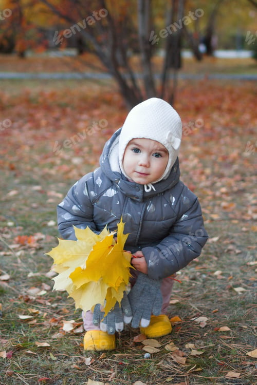 Preview: Cute little girl is walking in autumn park and collecting yellow maple leaves.