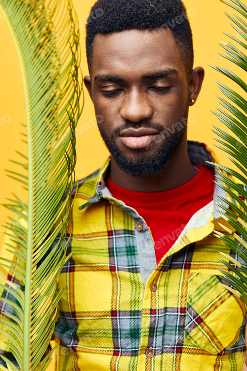 Preview: man fun black stylish yellow happy tree palm smiling fashion tropical african american