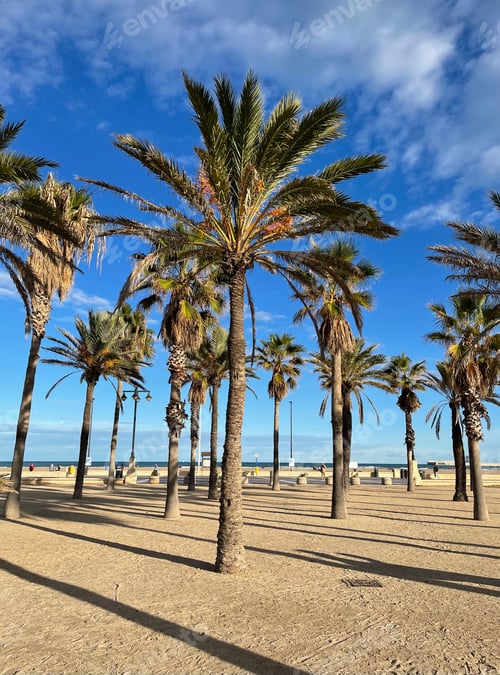 Visualização: Palmas