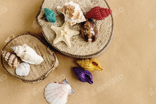 Preview: colorful shells and sea star on sandy wooden background