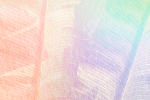Preview: Rainbow banana leaf background illustration