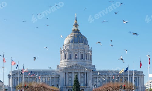 Preview: San Francisco City Hall, California, USA