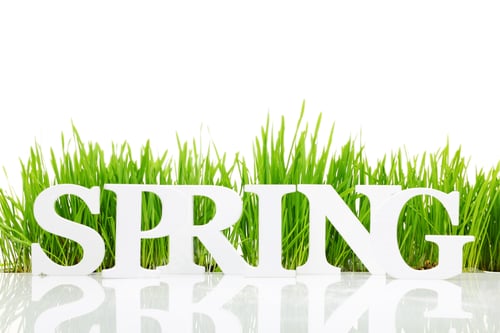 Preview: Word "Spring" with fresh grass isolated on white