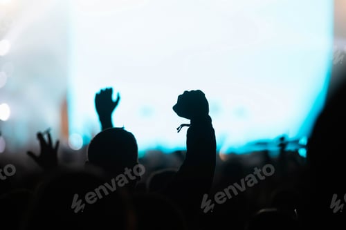 Preview: crowd at concert - summer music festival