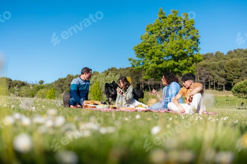 Preview: Happy family enjoying a sunny spring picnic with their dog in a meadow full of daisies