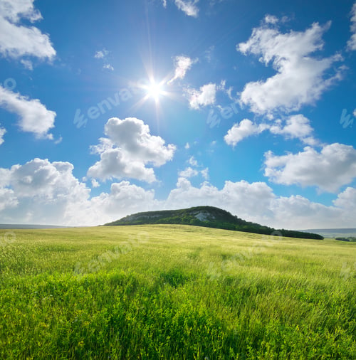 Preview: Beautiful landscape spring meadow