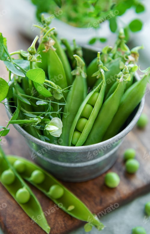 Preview: Sweet pea pods