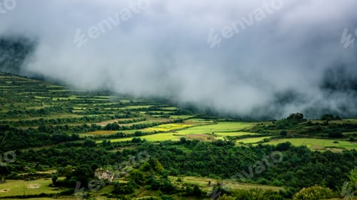 Preview: a green field with many crops and clouds above it in the background