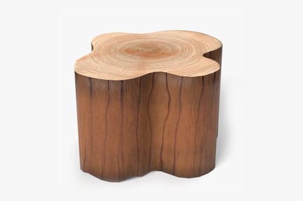 Aperçu: Souche d'arbre de dessin animé stylisée