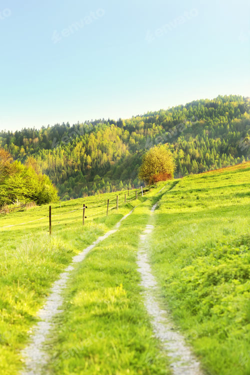 Preview: Green landscape