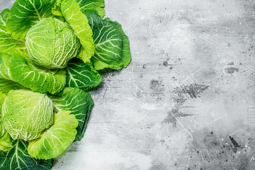 Preview: Juicy Savoy cabbage.