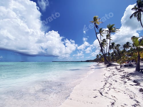 Preview: Tropical paradise