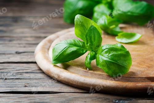 Preview: Fresh green basil on the wooden table