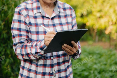 Preview: Farmer woman using digital tablet computer in field, technology application in agricultural growing