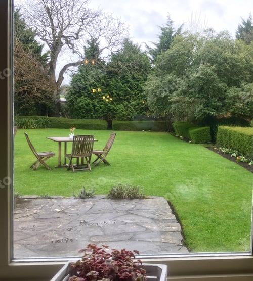 Preview: Looking through window at peaceful green outdoor living space