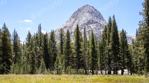 Preview: Beautiful shot of fir trees and the John Muir Trail mountain range under a blue sky in California