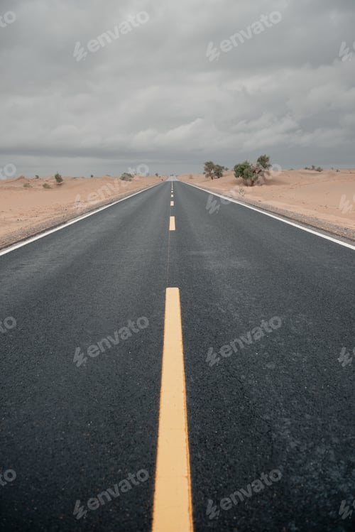 Preview: Road in the wild