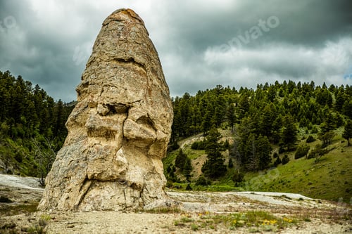 Preview: Closeup shot of rock formation in background green pine trees in Yellowstone national park