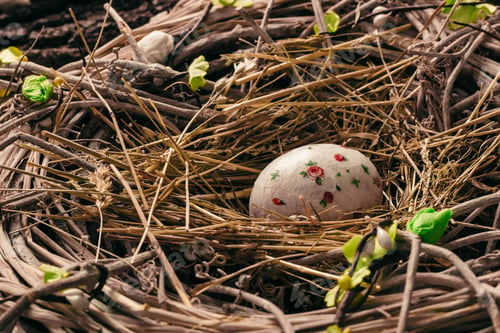 Preview: Easter egg in bird nest