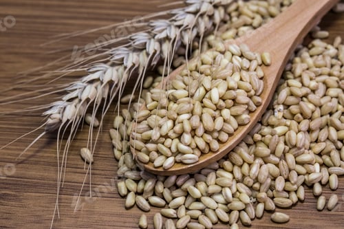 Preview: Wheat and wheat ears background. Food concept photo.
