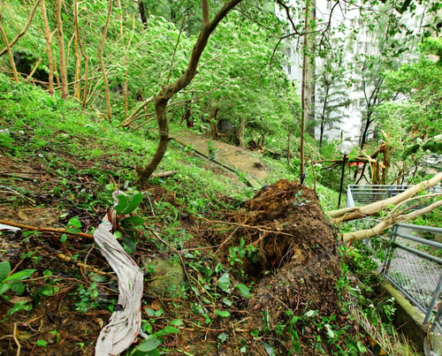 Preview: Damage after typhoon