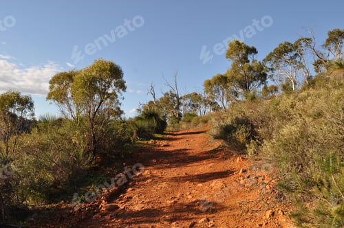 Preview: Whistlepipe Gully Walk, trail through scenic bushland, Australia