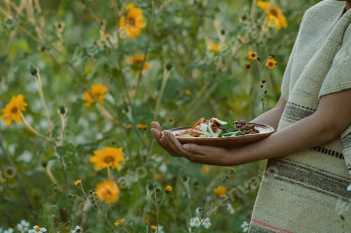 Preview: In Mexico, chilaquiles are a delicious and popular dish made with fried tortillas, sauce