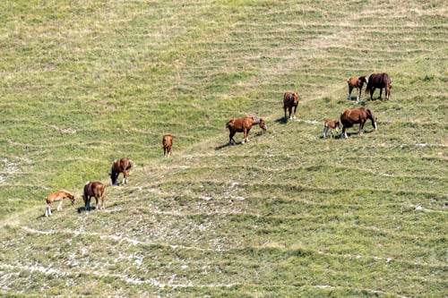 Preview: Landscape near Monte Cucco, Marches and Umbria, Italy