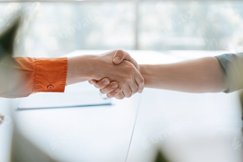 Preview: Closeup hands of successful business people handshake on meeting, successful deal
