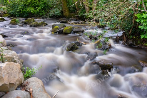 Preview: Long exposure of a rocky river flowing surrounded by forest vegetation
