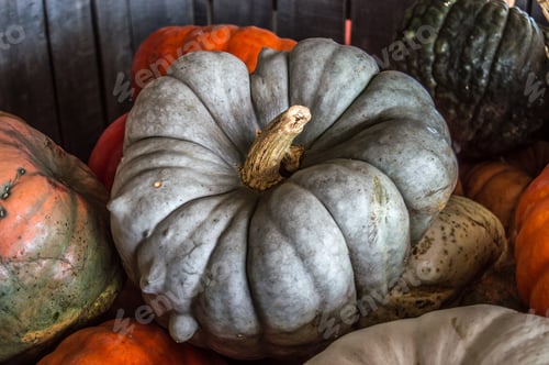Preview: Pumpkins