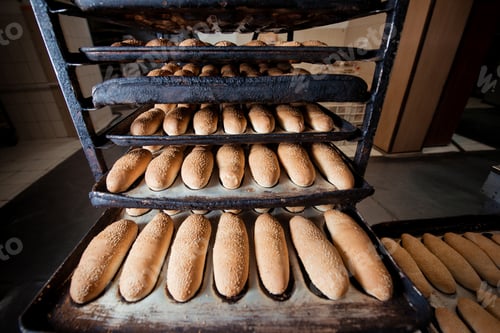 Preview: Freshly bread on a baking tray