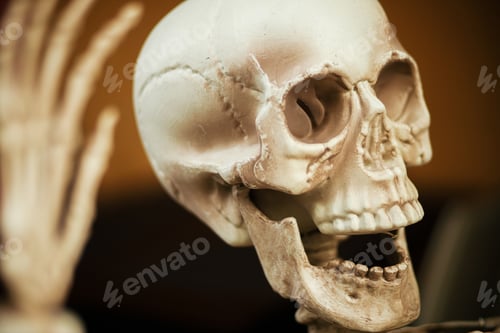 Preview: Scary skeleton, skull and hand close up, holiday decoration. Trick or treat. Happy halloween